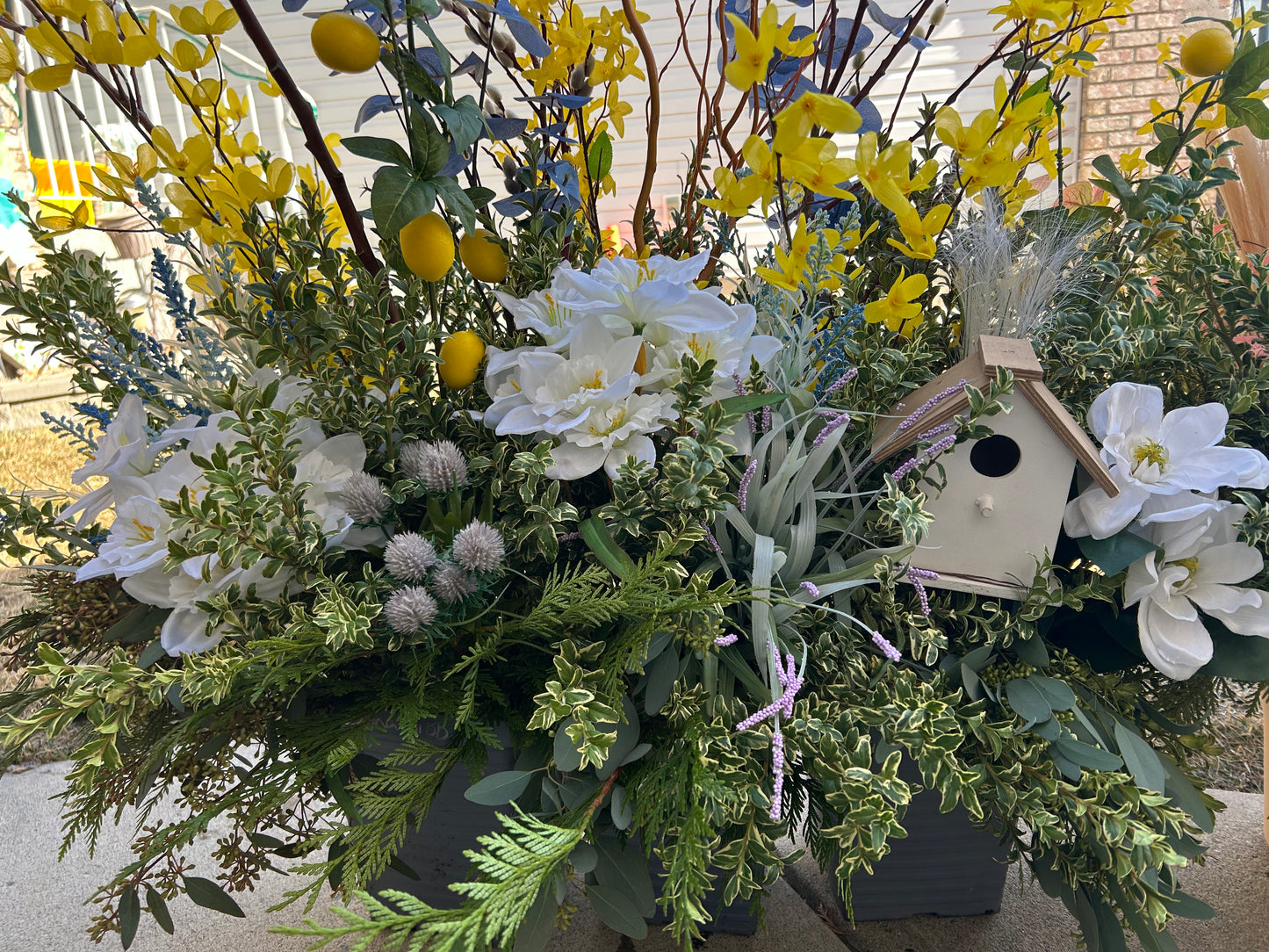 Seasonal Planter Designers Choice